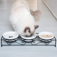 Navaris stand-sideview shows elevated design reducing mess during feeding.