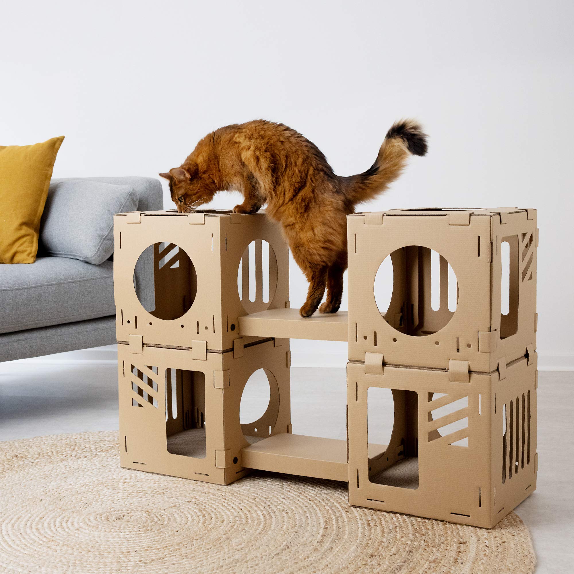 Navaris modular cat house bridge connects cubes for a tunnel play route