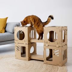 Navaris modular cat house bridge connects cubes for a tunnel play route