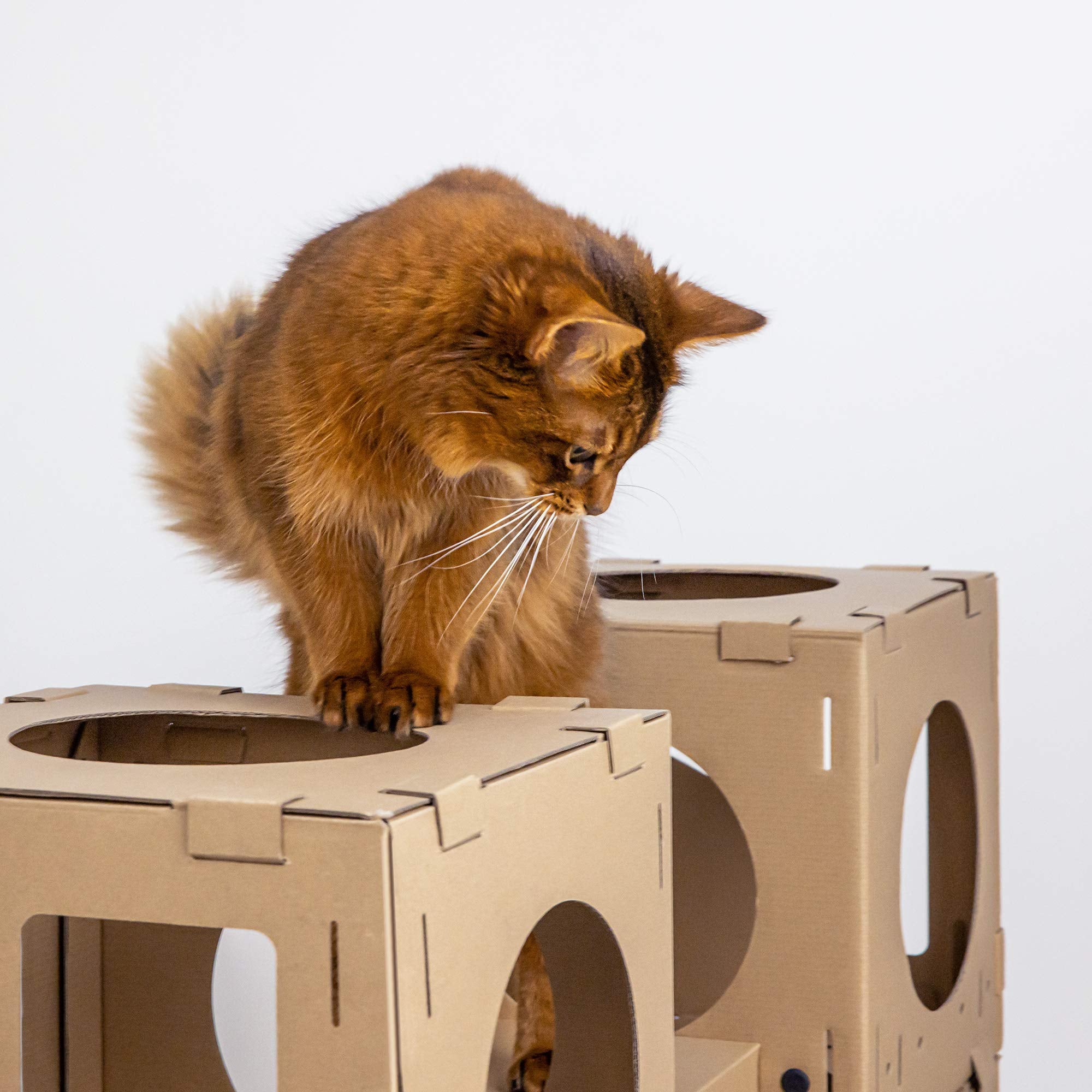 Navaris modular cat house packaging highlights easy-to-assemble contents