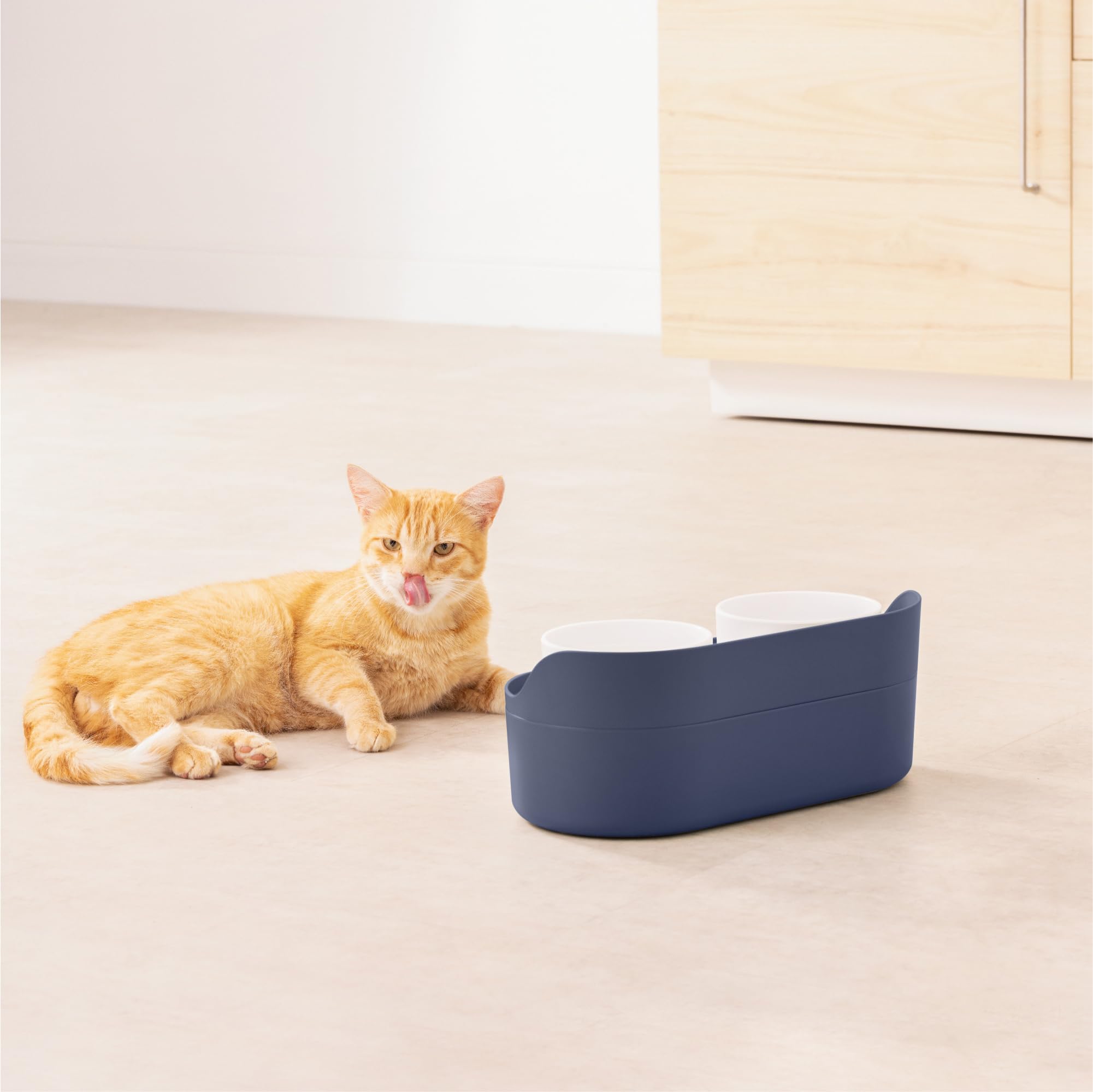 Navaris splash proof dog bowls protect floors during meals