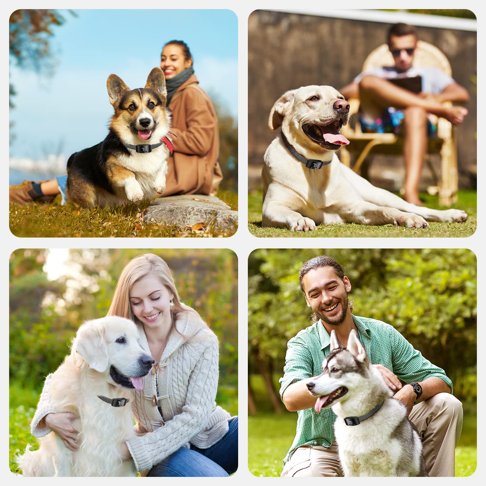 NBJU bark collar IP67 waterproof protection for rain or splashes.