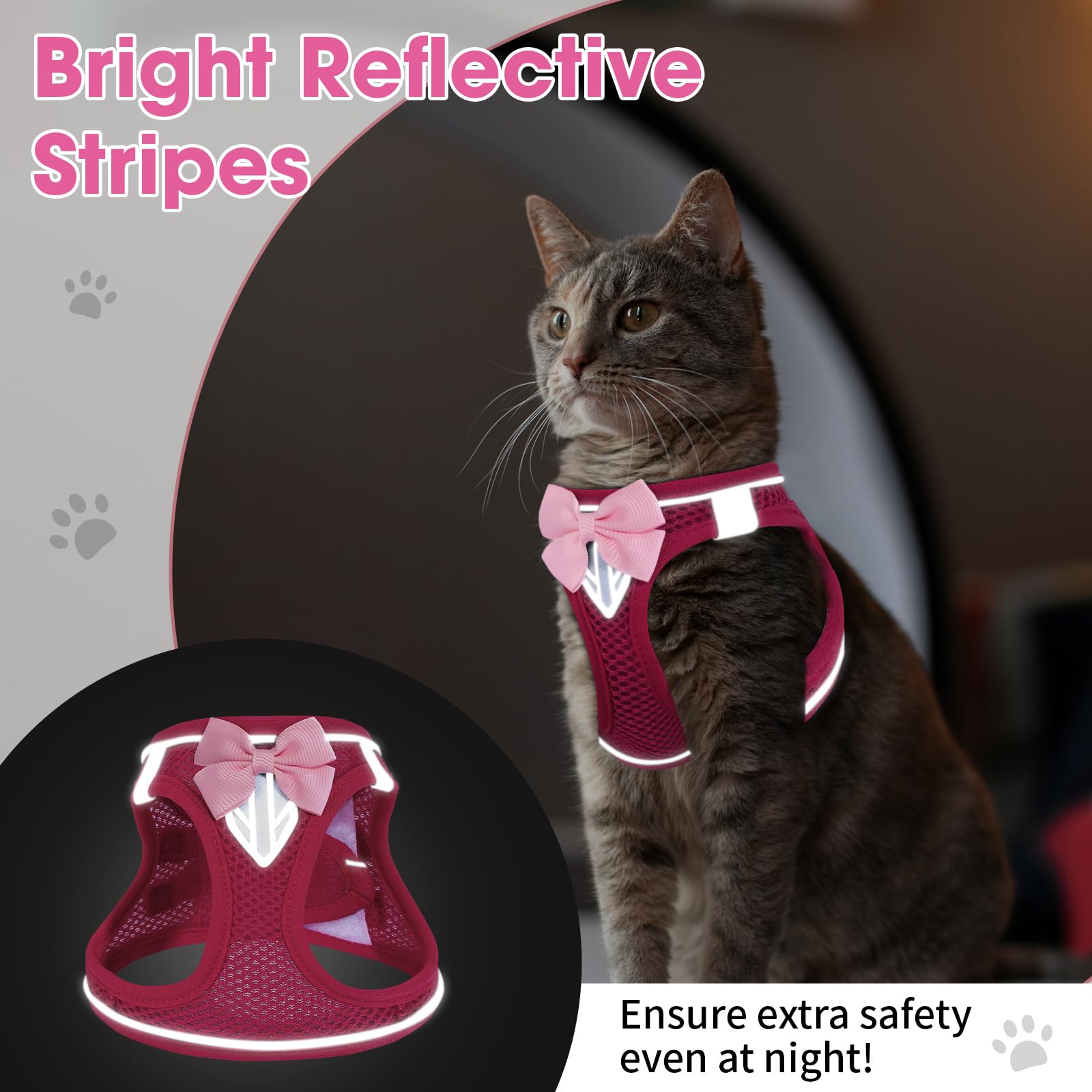 NCMAMA escape-proof design keeps kitten safe during daily walks and outdoor adventures