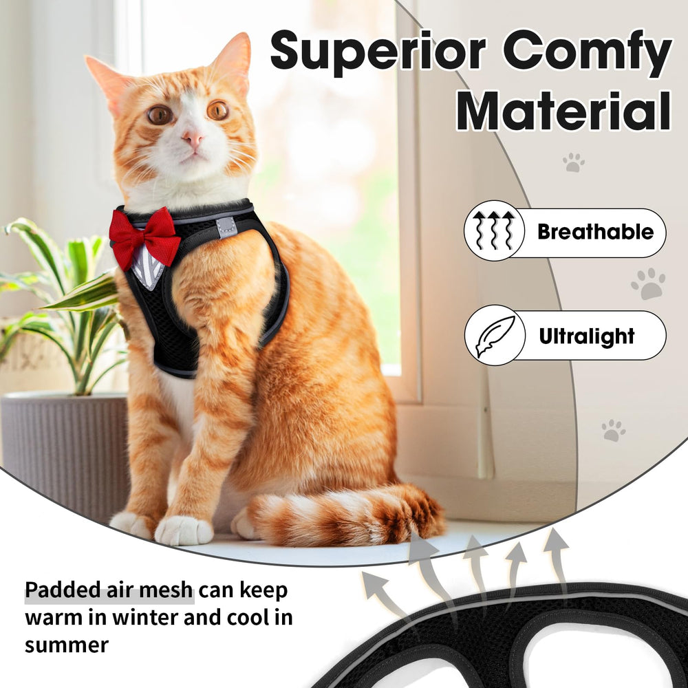 NCMAMA adjustable belt ensures snug fit for small frames without slipping.