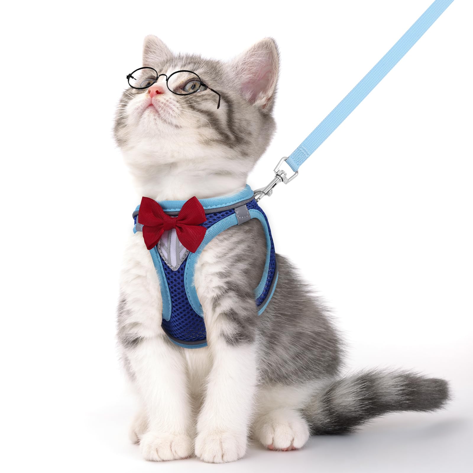 NCMAMA cat harness with breathable mesh for comfortable daily walks and secure fit.