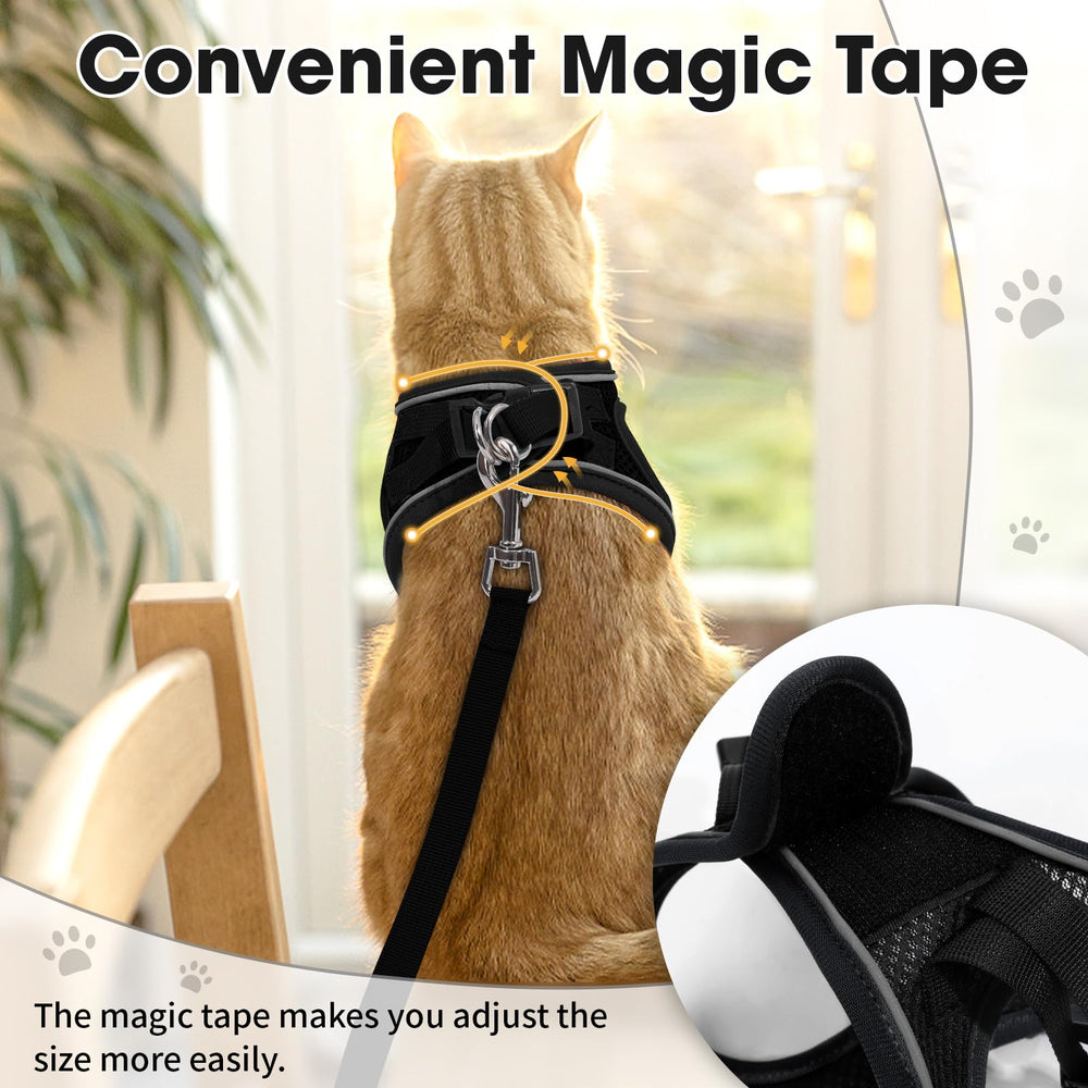 NCMAMA cat harness escape-proof-360 wrap helps secure kittens during outings.