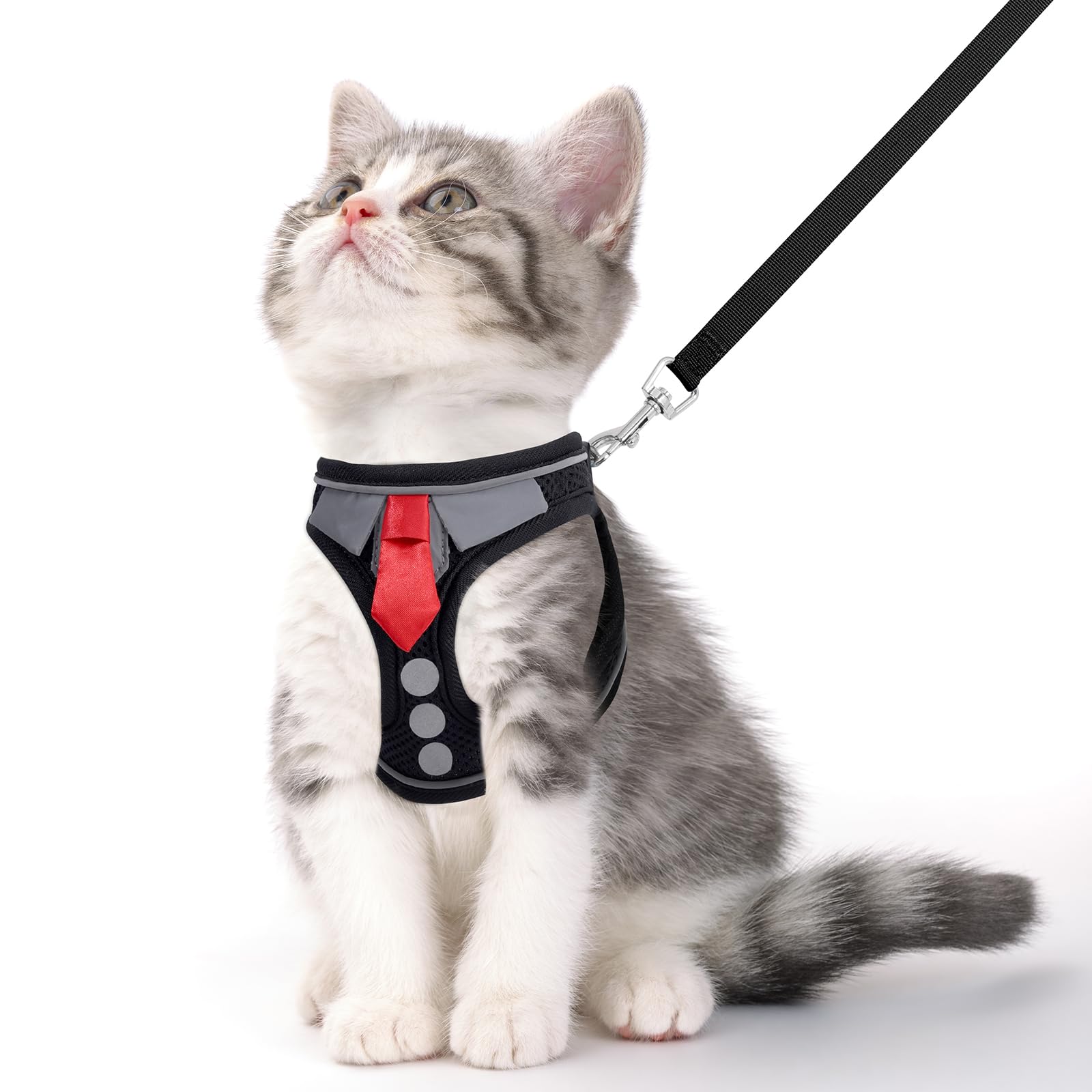 NCMAMA cat harness tie-design adds stylish appeal during daily walks.