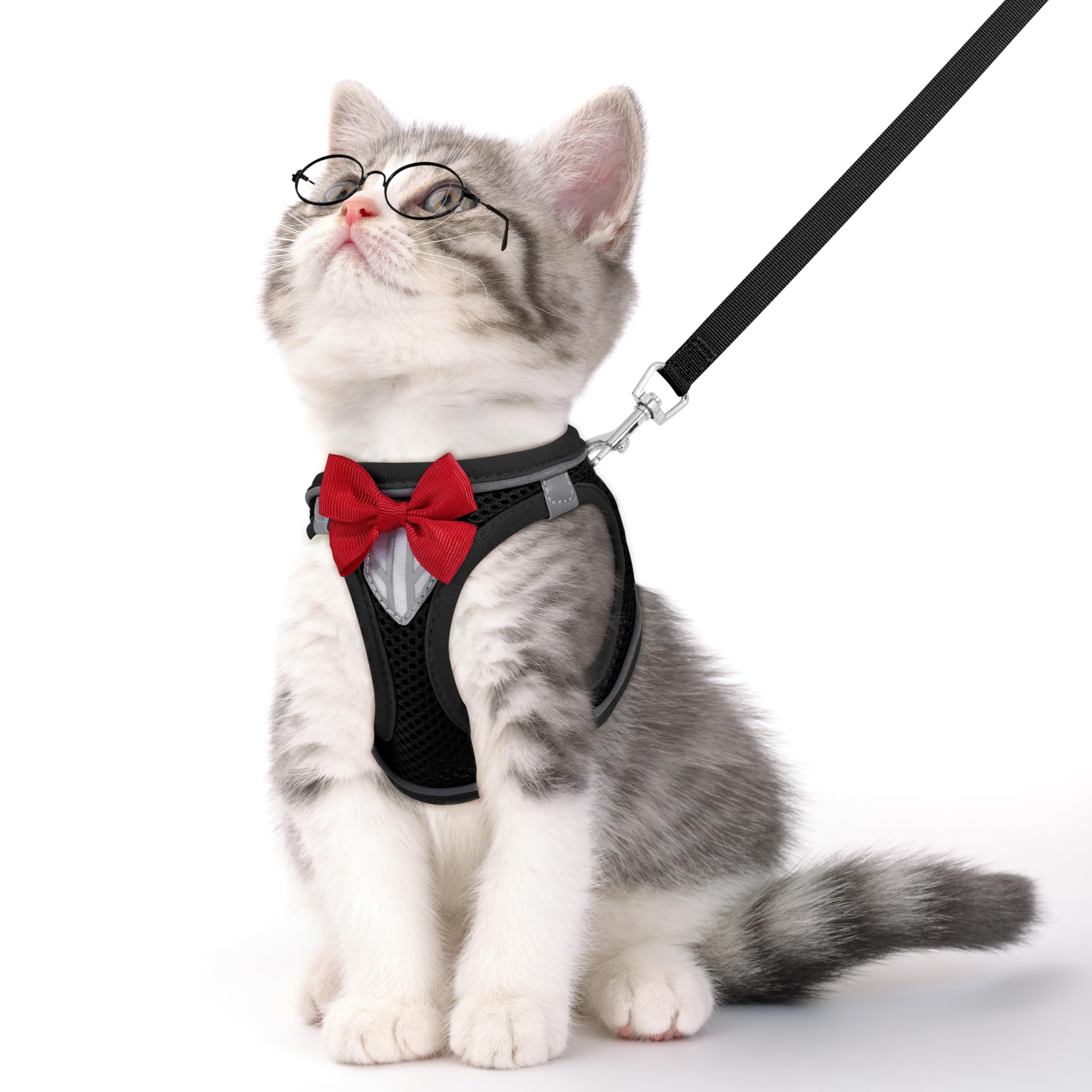 NCMAMA cat vest harness escape-proof front view for secure daily walks.