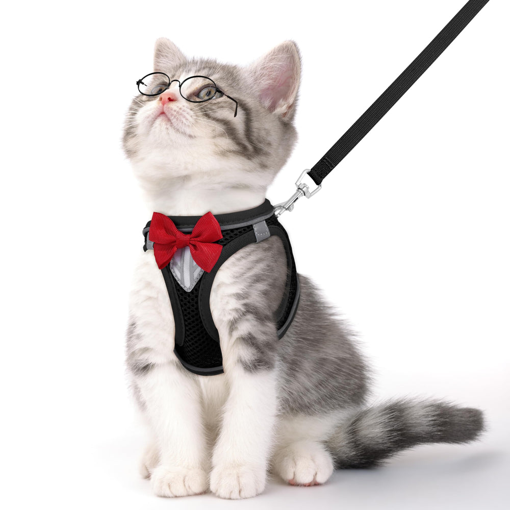 NCMAMA cat vest harness with reflective strips improves night visibility for safer evening walks.