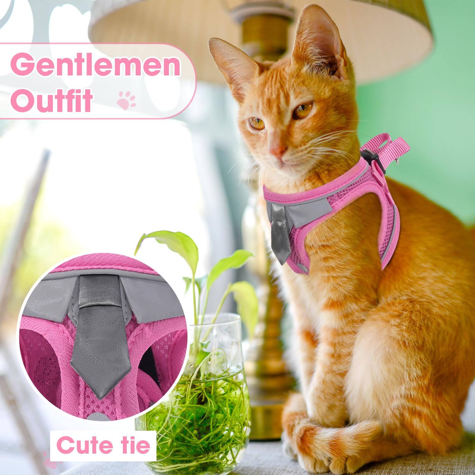 NCMAMA fashion tie design adds charm on walks.