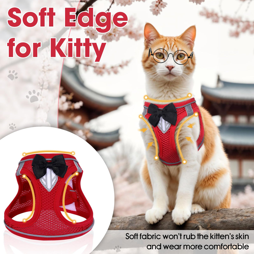 NCMAMA kitty-friendly harness set ready for daily training and travel.