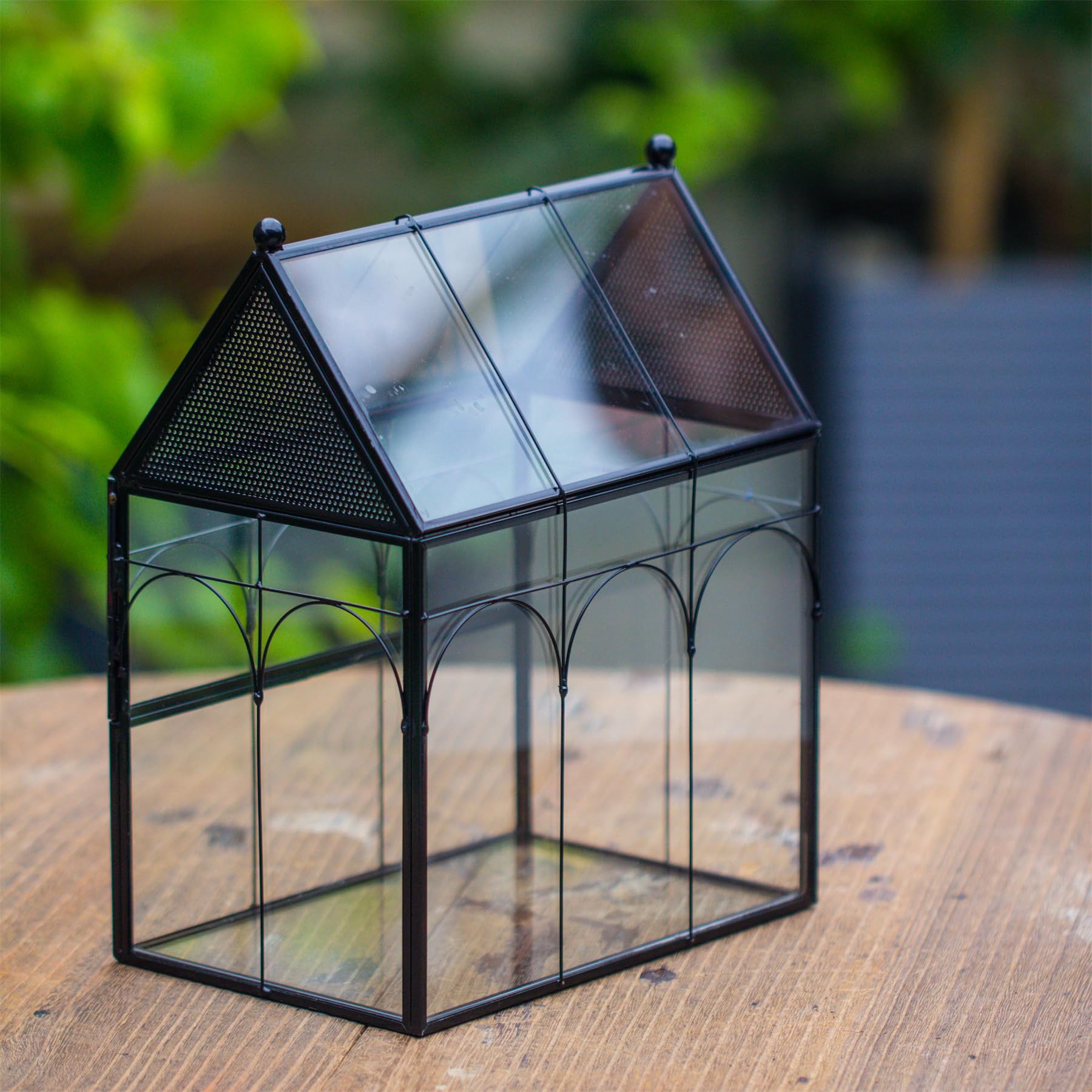 NCYP desktop display setup with the terrarium featuring decorative home styling