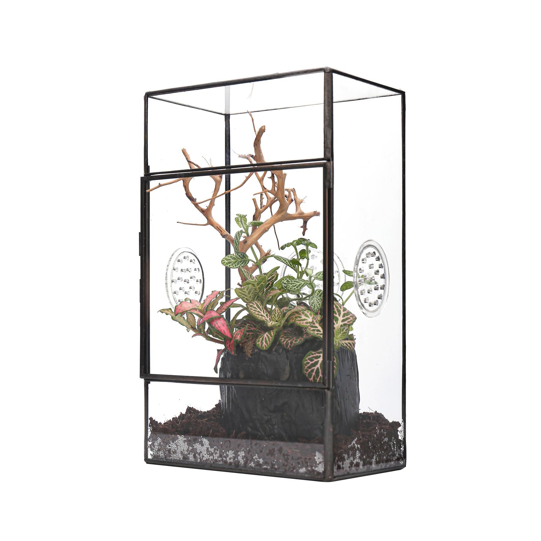 NCYP glass enclosure with front-opening door offers easy access for feeding.
