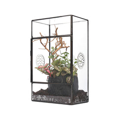 NCYP glass enclosure with front-opening door offers easy access for feeding.