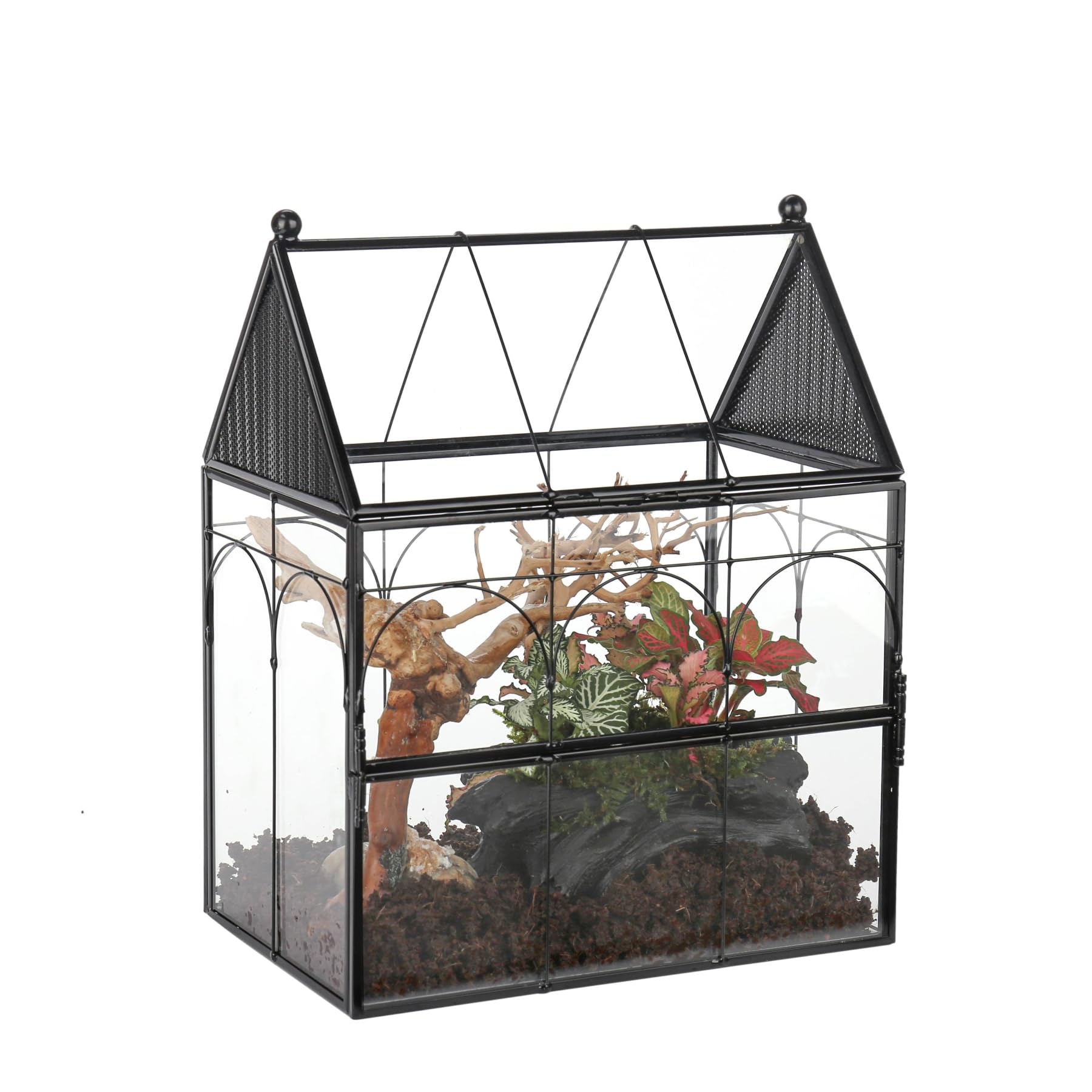 NCYP glass enclosure with vent holes—front view for airflow and display