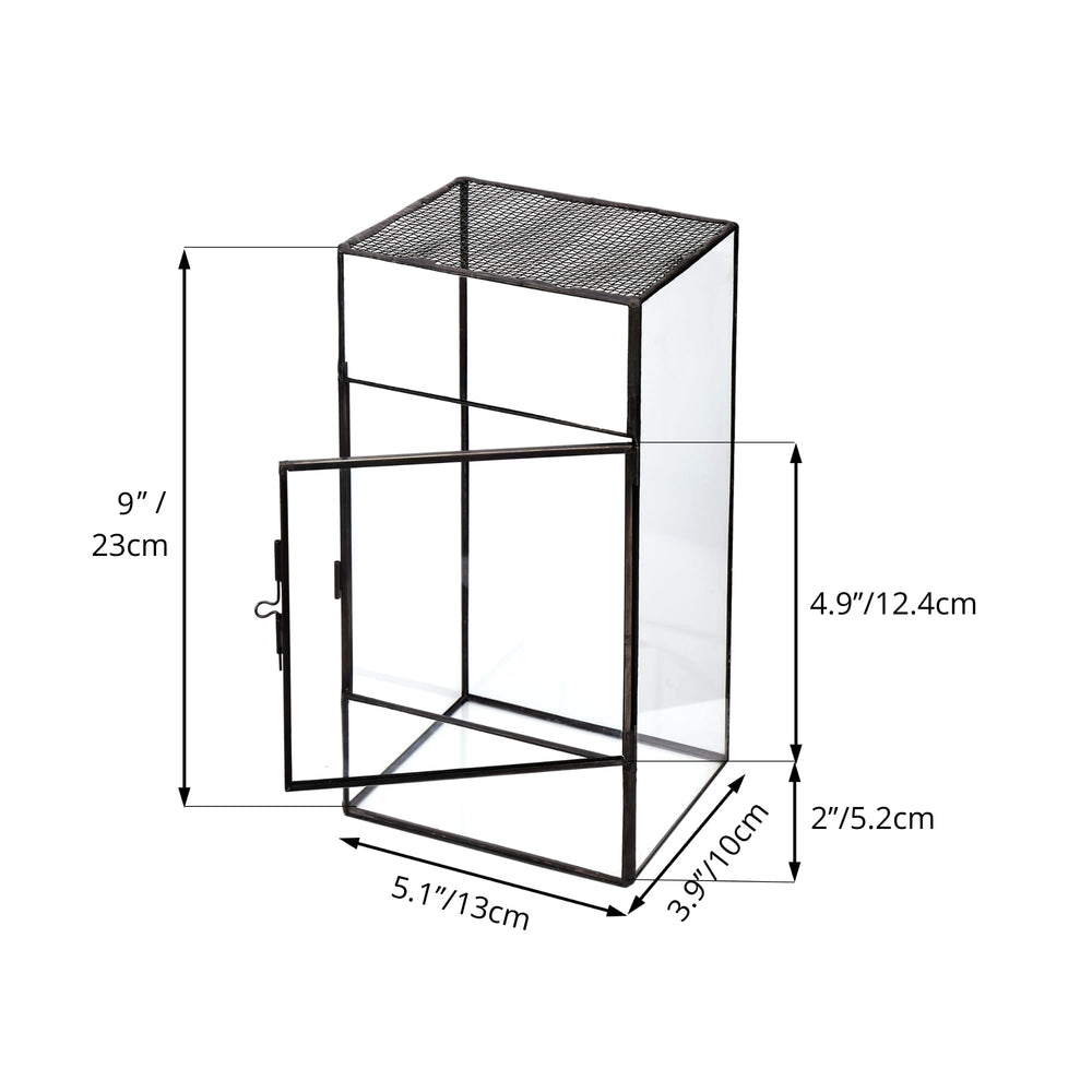 NCYP glass terrarium bottom panel adds stability and concealment.