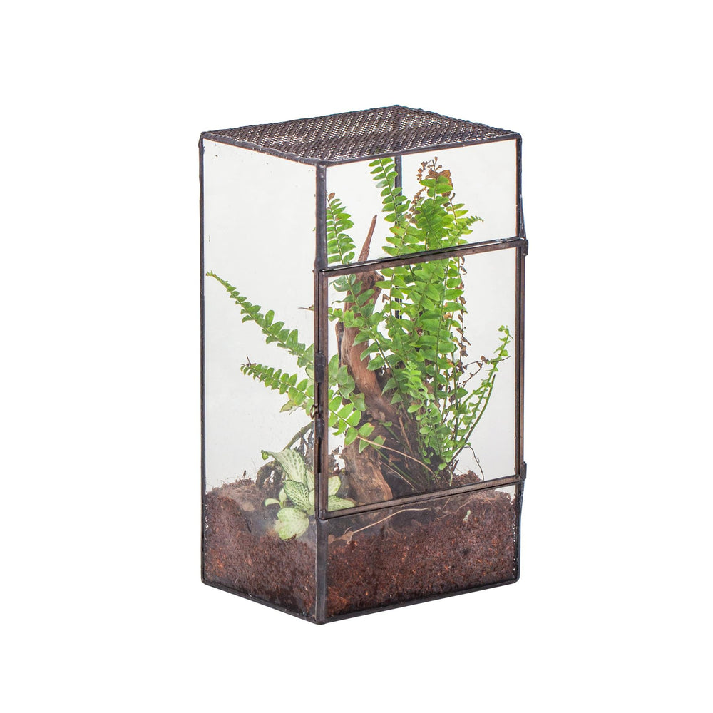NCYP glass terrarium with side door for easy access and display.
