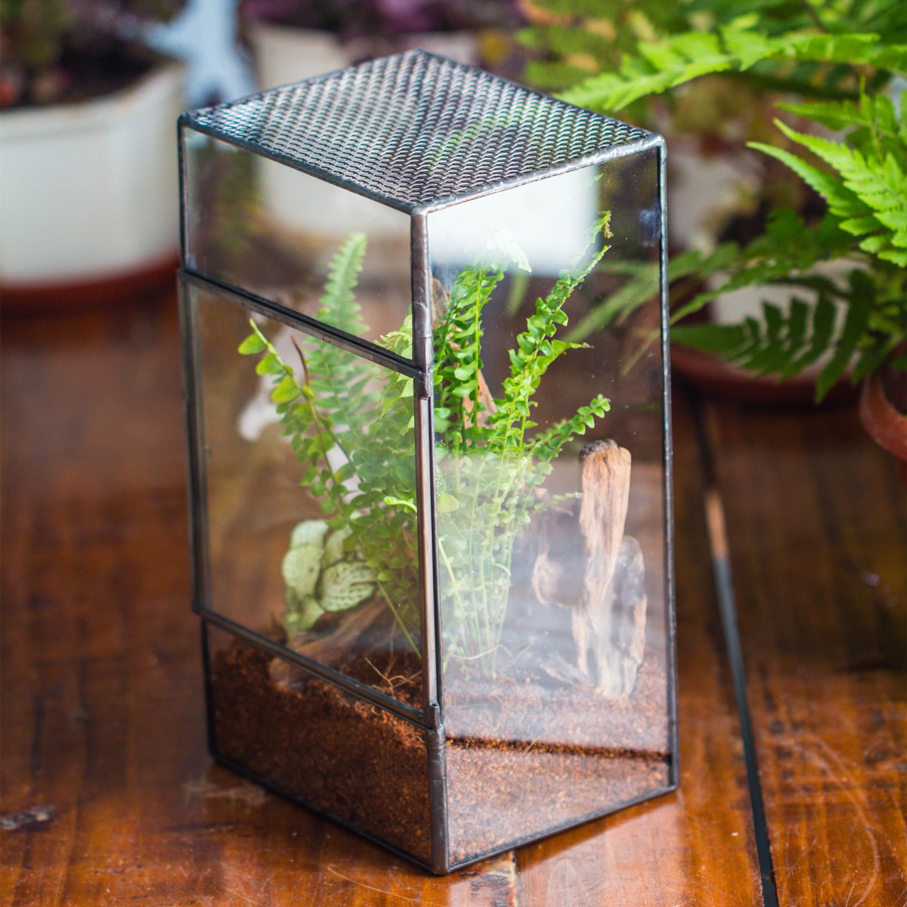 NCYP terrarium top vent mesh for airflow and insect comfort.