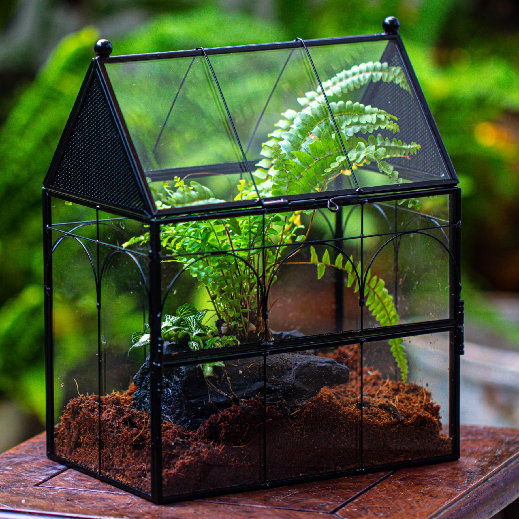 NCYP habitat for tiny insects and jumping spiders in a compact 7.5-inch form