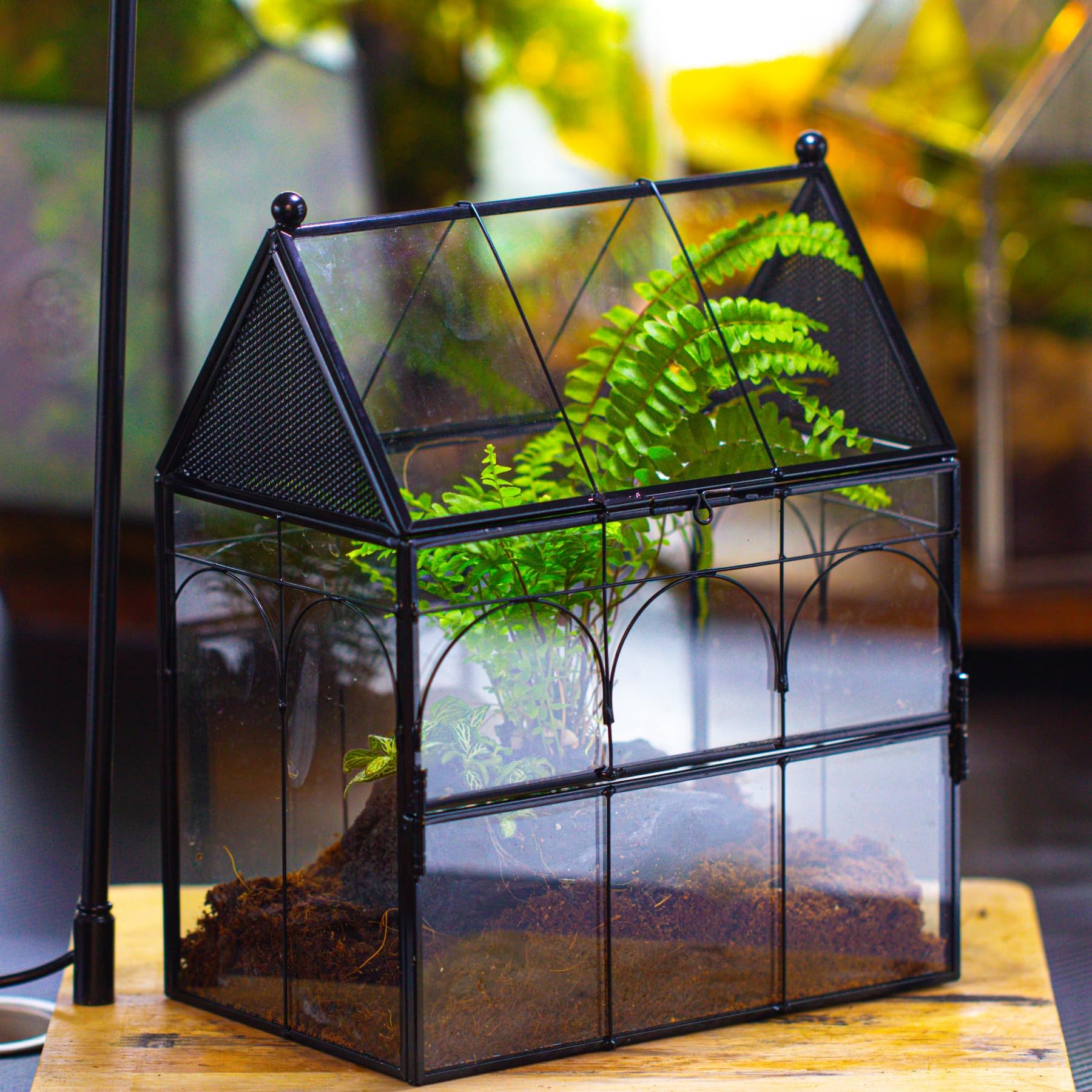 NCYP house-shape terrarium side view shows compact desk decor