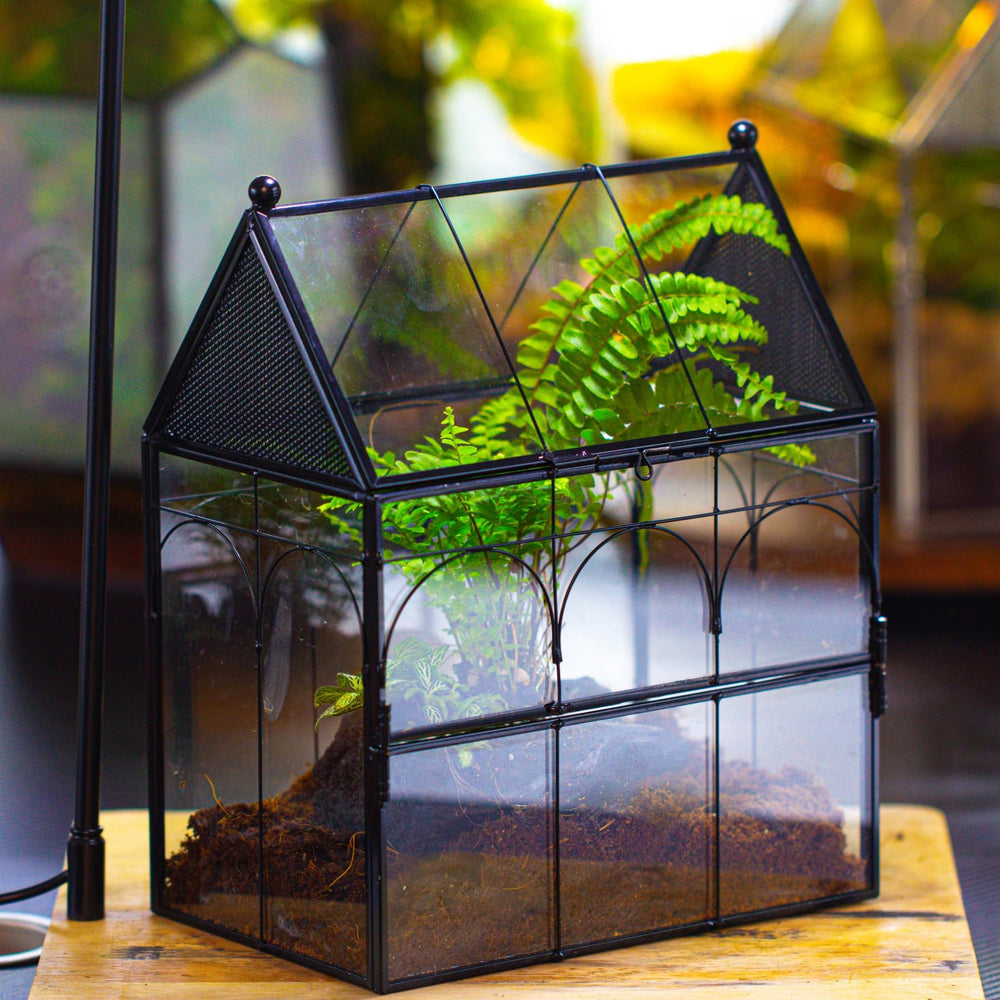 NCYP house-shape terrarium side view shows compact desk decor