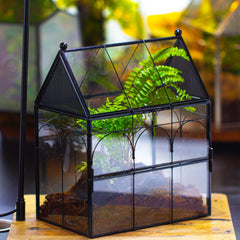 NCYP house-shape terrarium side view shows compact desk decor