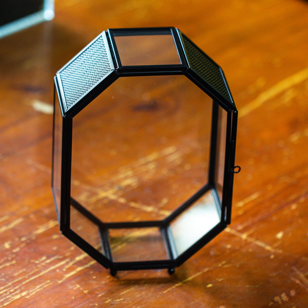 NCYP mini glass terrarium dimension-specs conveys compact 5x2.3x7 inch footprint