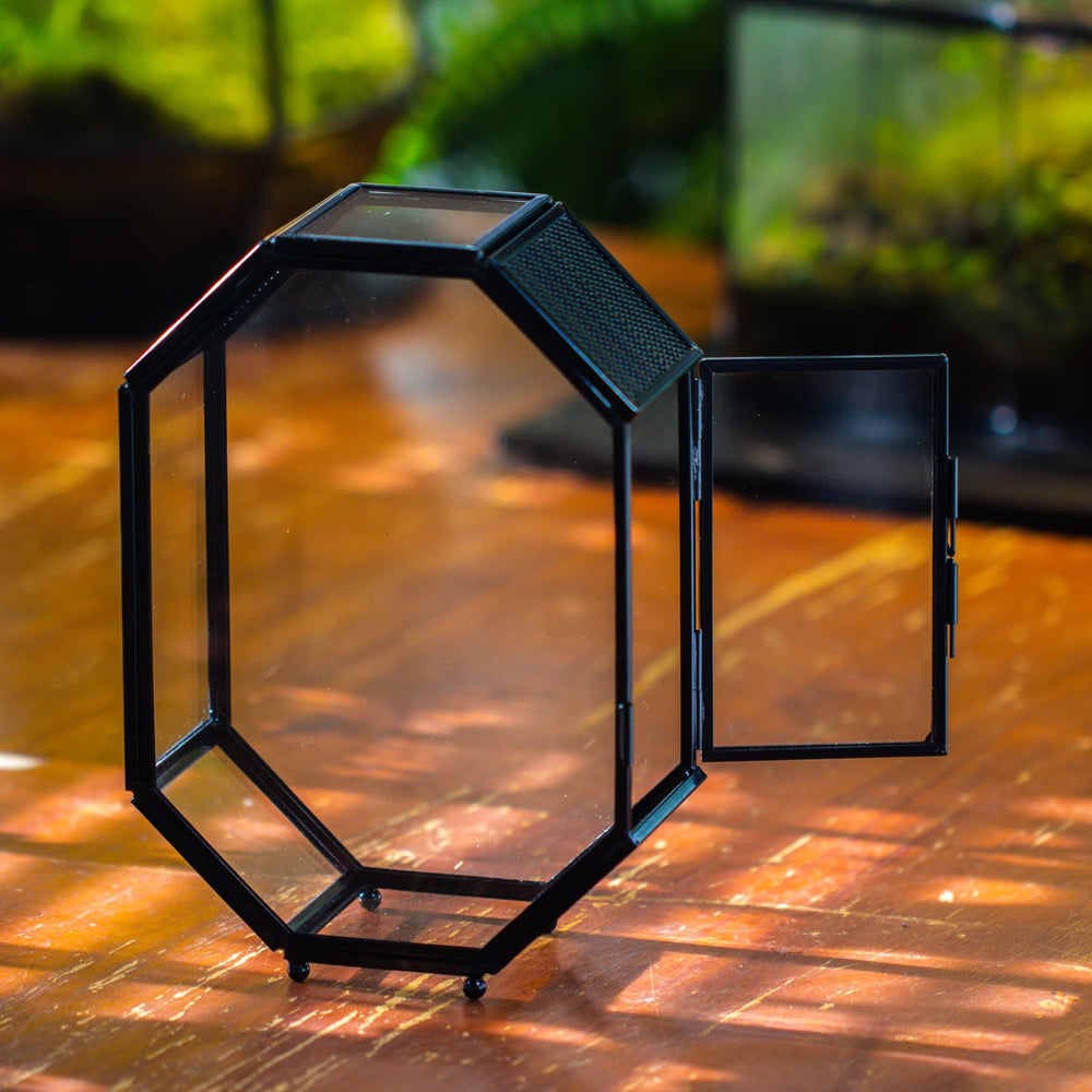 NCYP mini glass terrarium metal-glass construction ensures durable, stylish enclosure