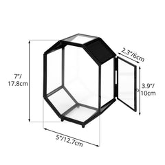 NCYP mini glass terrarium side-door access demonstrates easy habitat maintenance