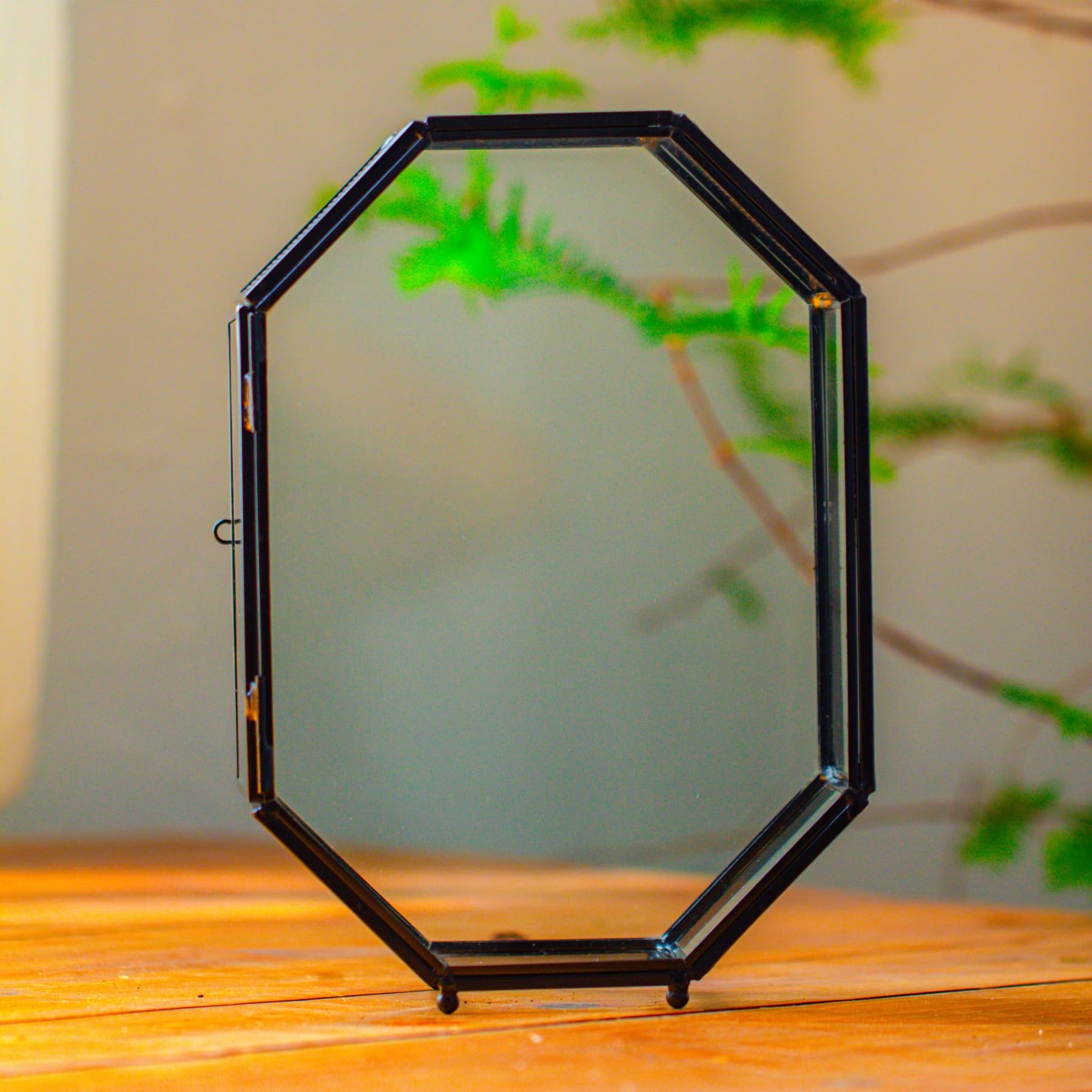 NCYP centerpiece terrarium enhances shelves with contemporary flair
