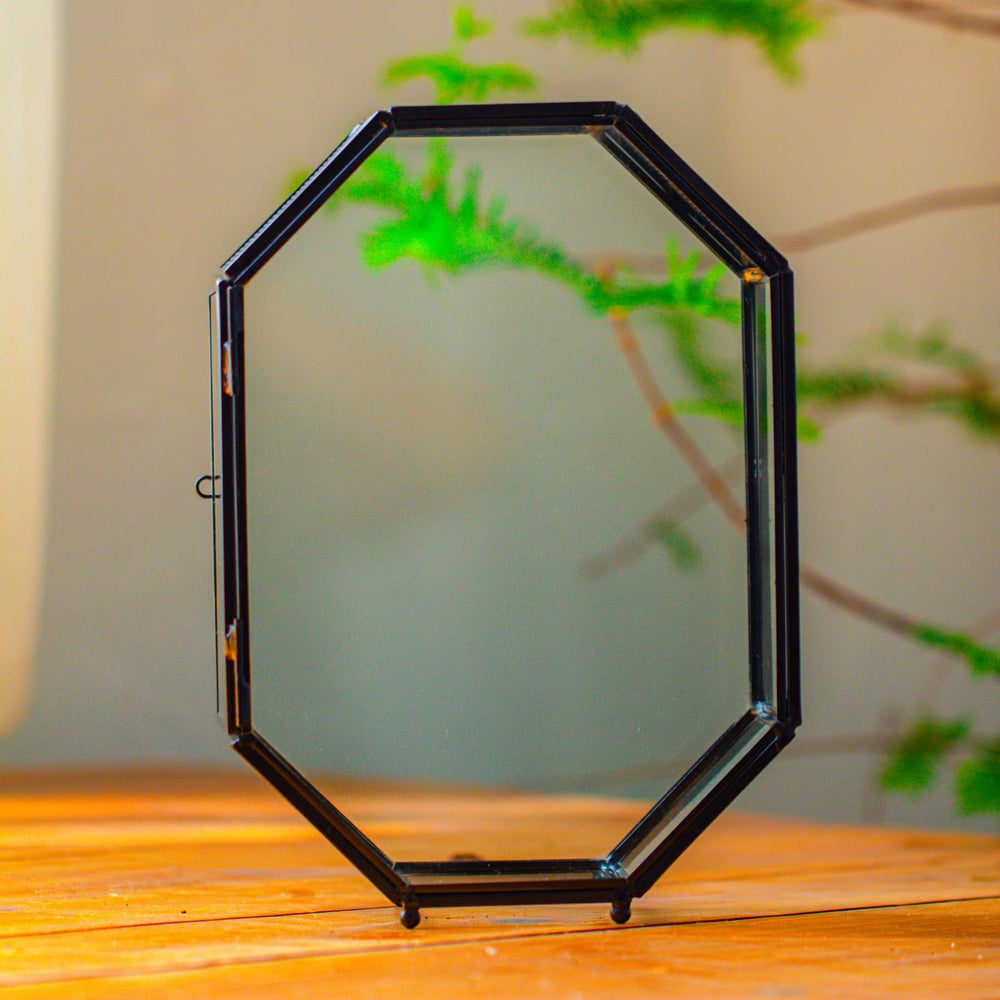 NCYP centerpiece terrarium enhances shelves with contemporary flair