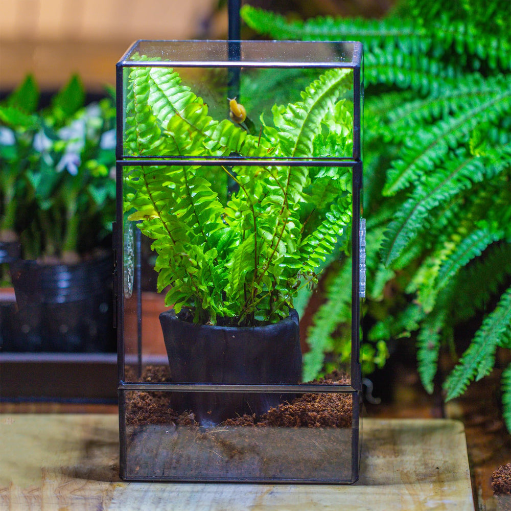 NCYP not-waterproof terrarium guidance to use a moisture layer for setup.
