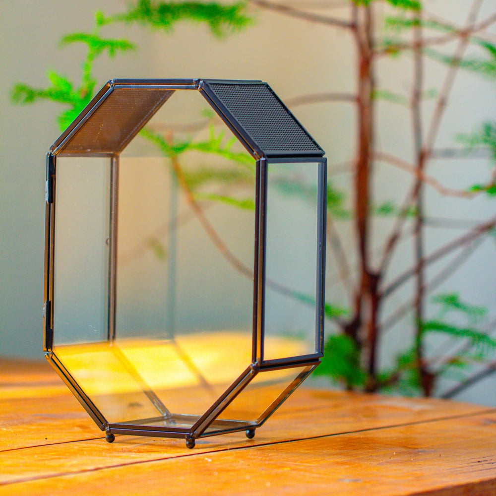 NCYP glass terrarium not waterproof suitable for dry displays