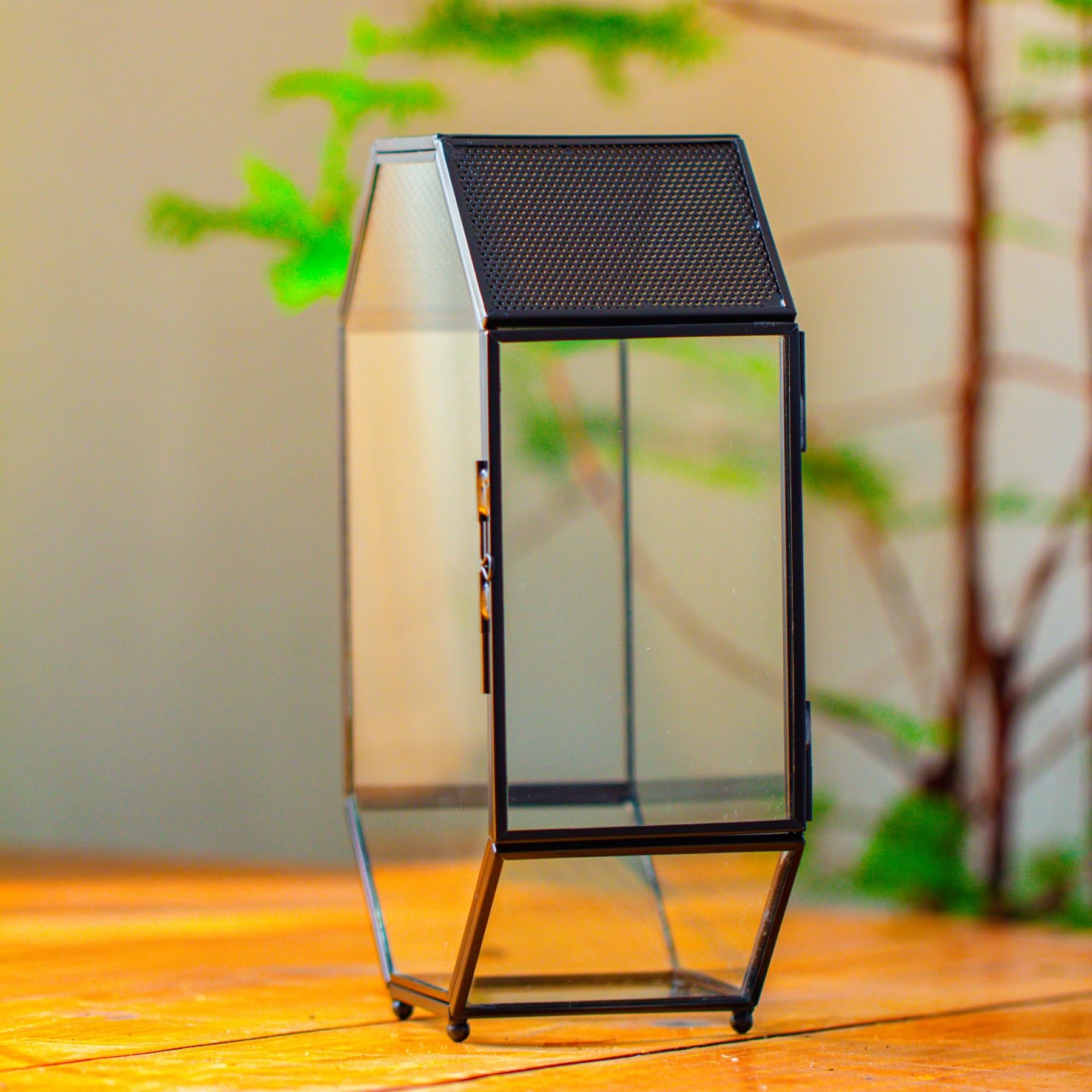 NCYP terrarium used as office decor with modern style