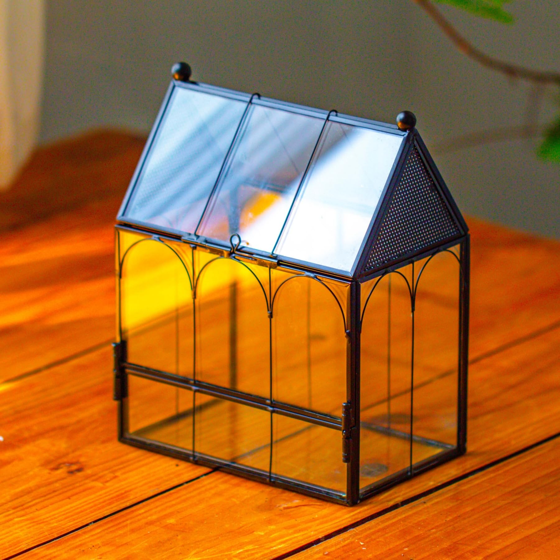 NCYP small glass terrarium front view, compact habitat for tiny pets.