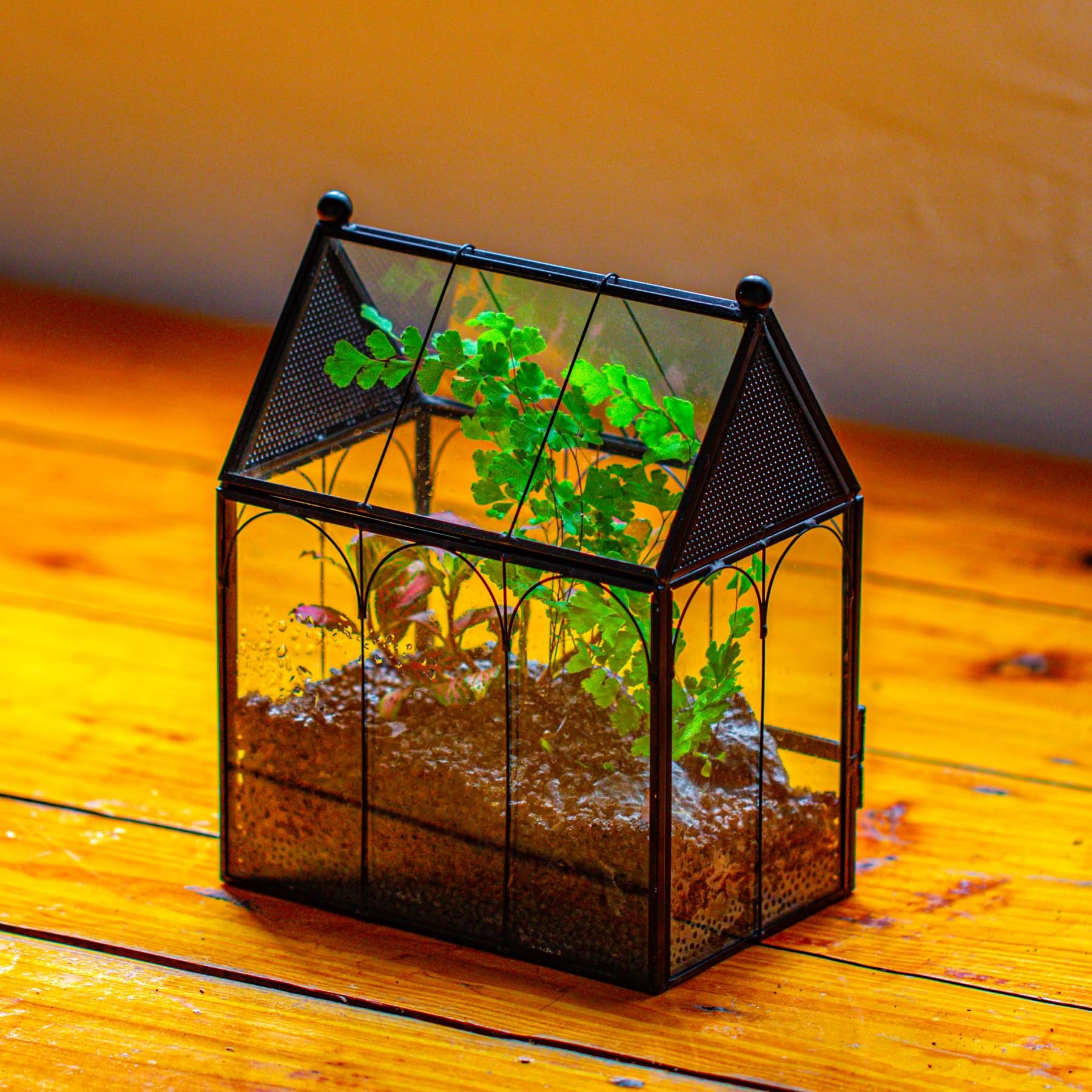 NCYP home decor shot shows versatile placement on a desk or shelf.