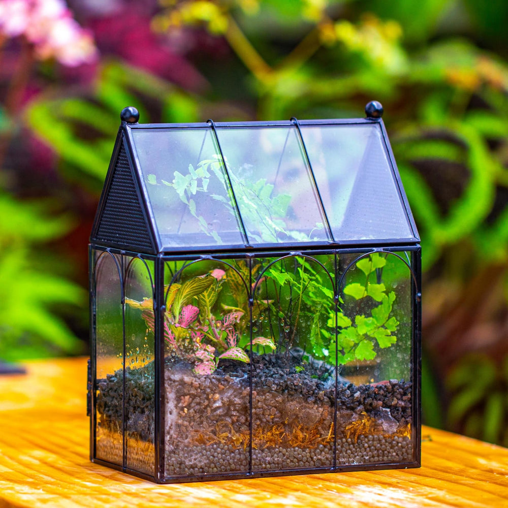 NCYP terrarium side vents highlight breathable design for small insects.