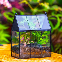 NCYP terrarium side vents highlight breathable design for small insects.