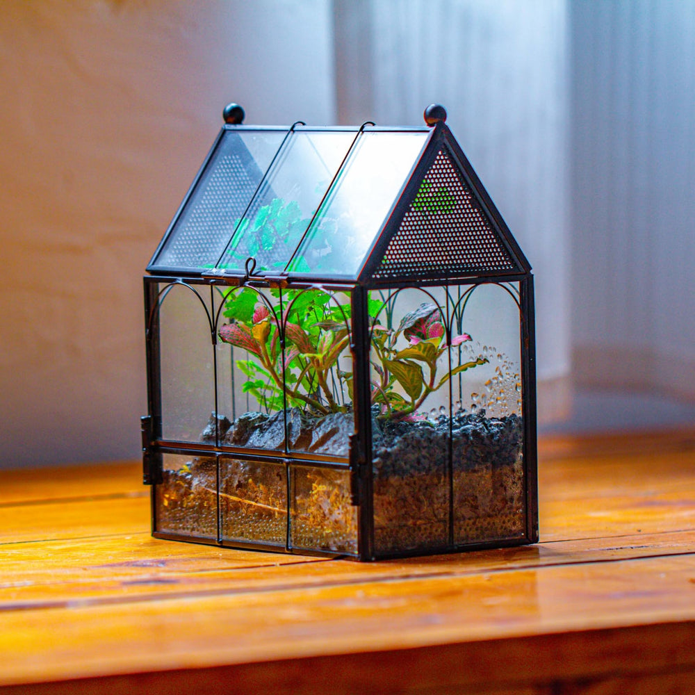 NCYP usage ideas image features plants or tiny pets in cozy habitat.