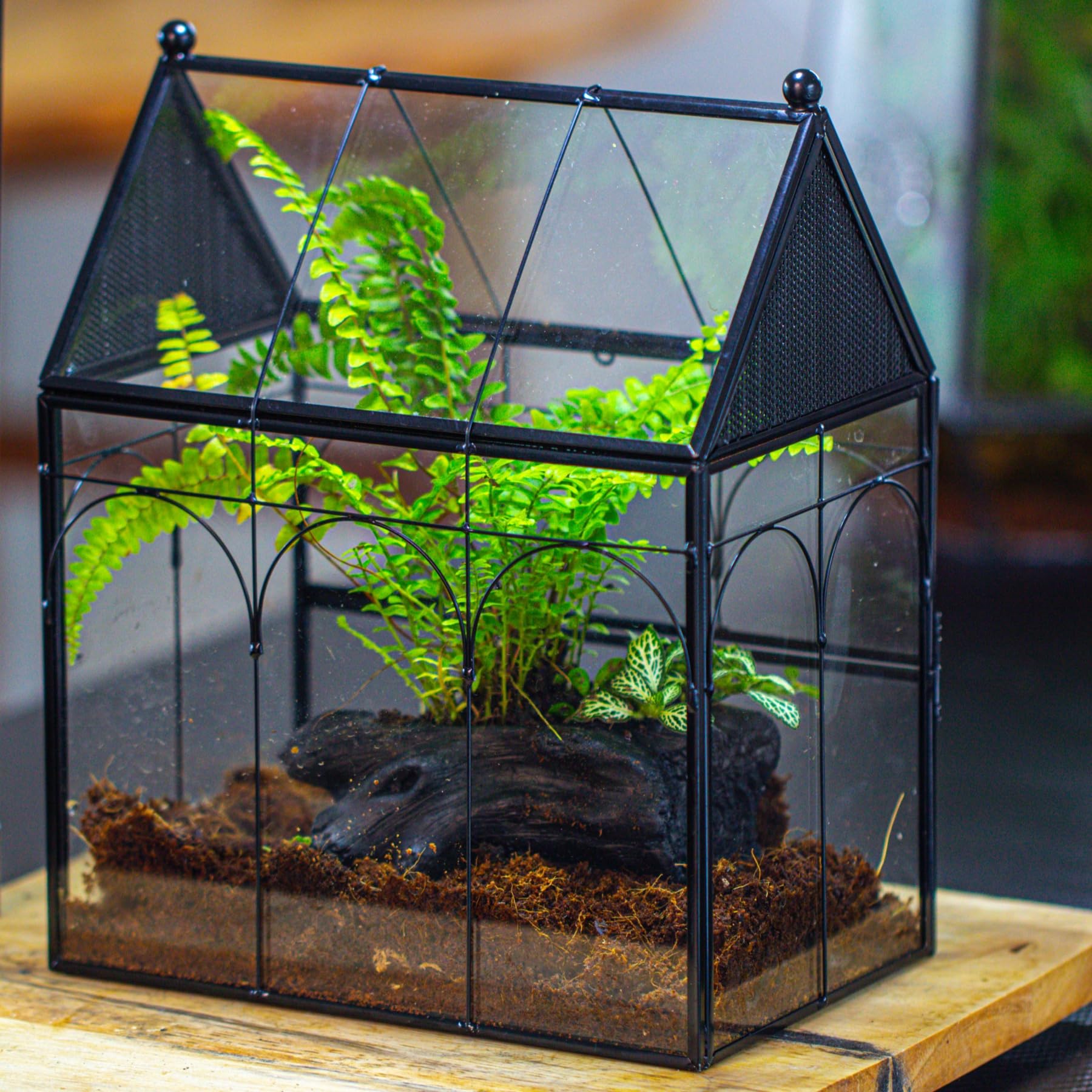 NCYP small terrarium as stylish home decor accessory