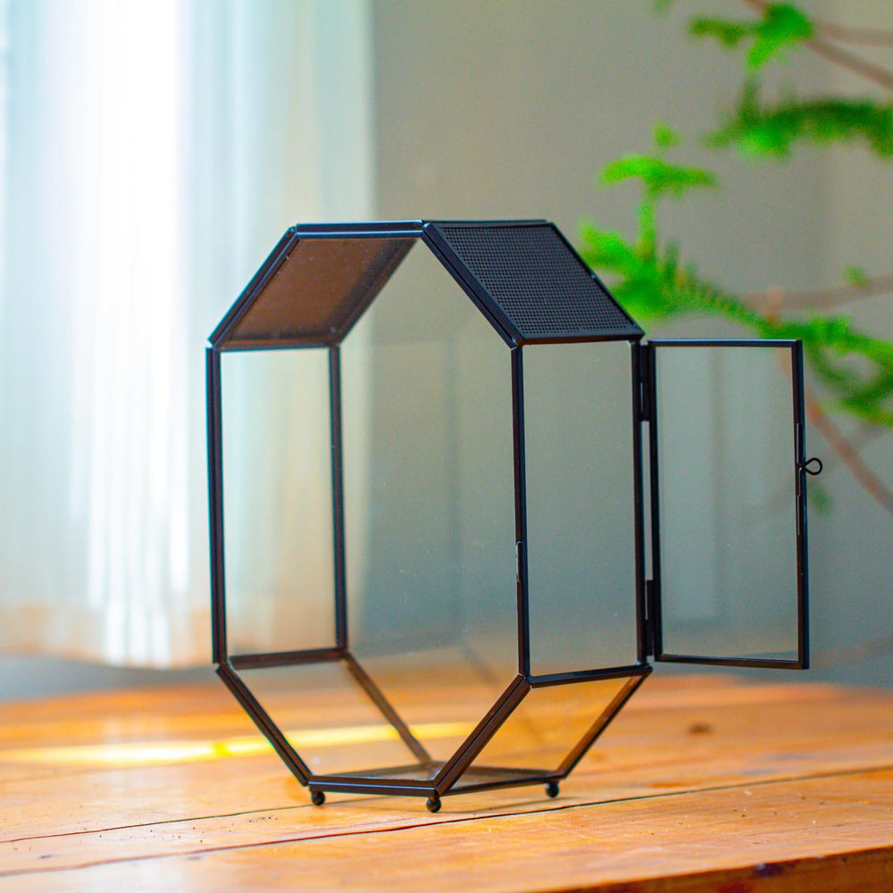NCYP terrarium door measures 3-1 by 4-9 inches for easy entry