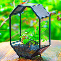 NCYP terrarium with metal mesh vents on the roof for airflow
