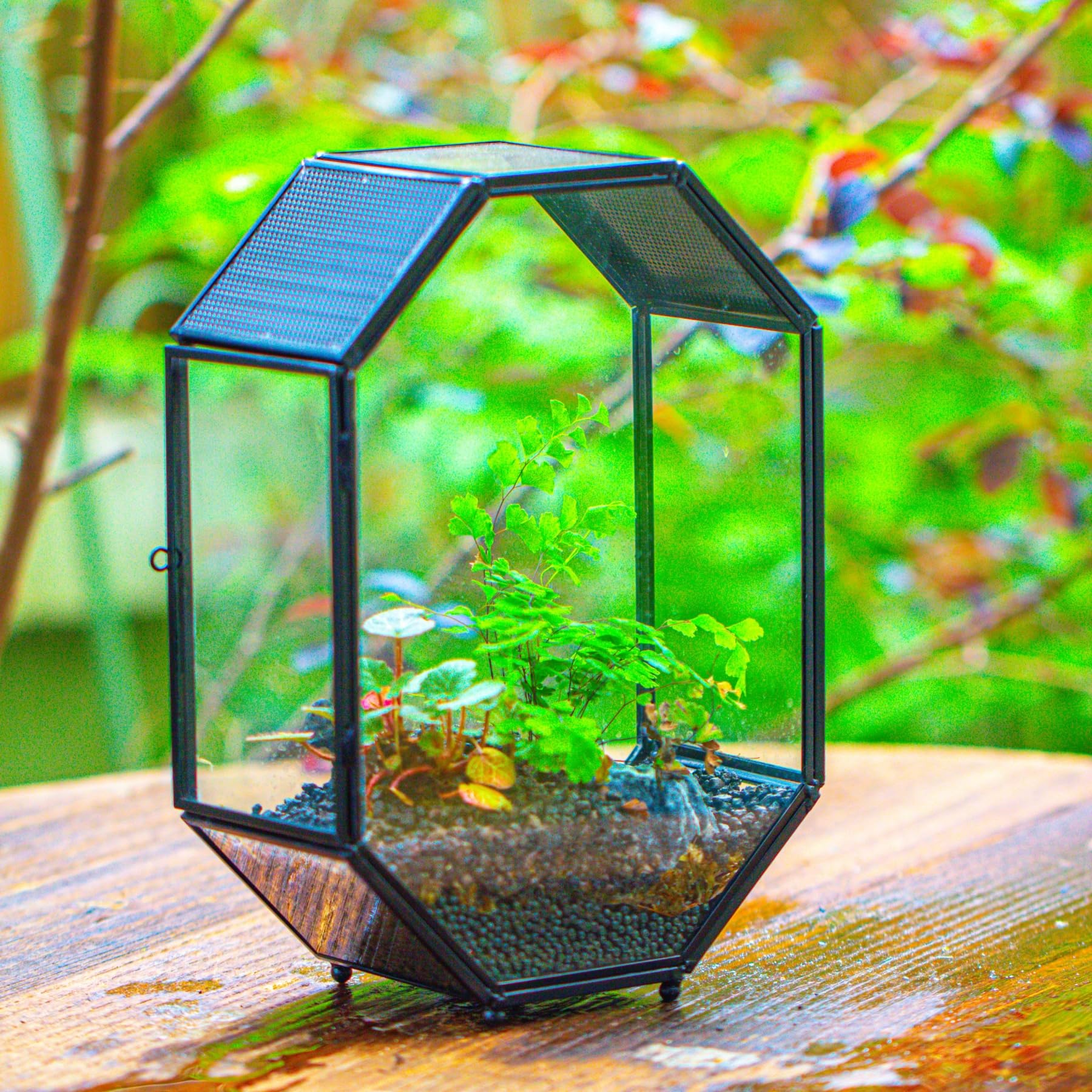 NCYP terrarium side door latch enables secure access
