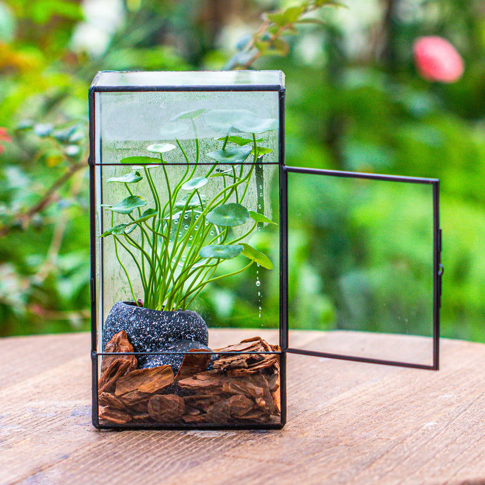 NCYP terrarium highlights three vent holes for improved airflow.