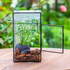 NCYP terrarium highlights three vent holes for improved airflow.