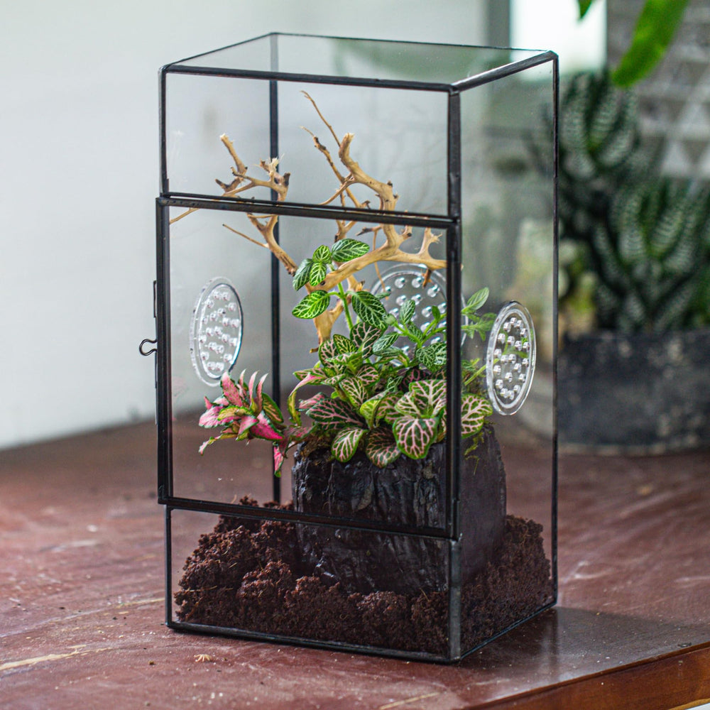 NCYP terrarium moisture note reminding to use a water-absorb layer.