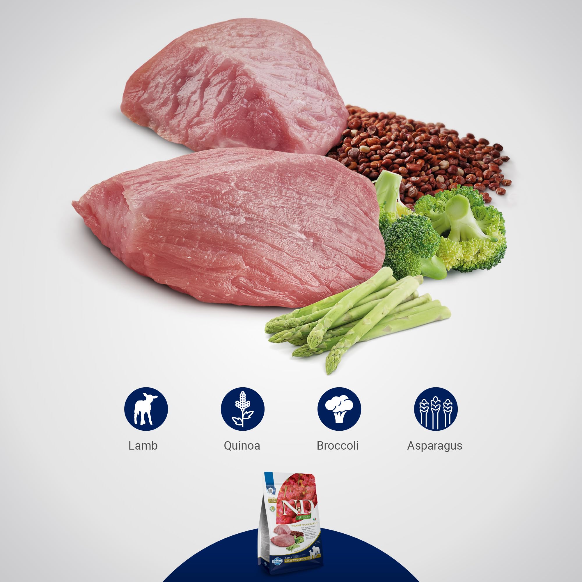 N&D Farmina weight management lamb dog eating to illustrate meal-time feeding routine