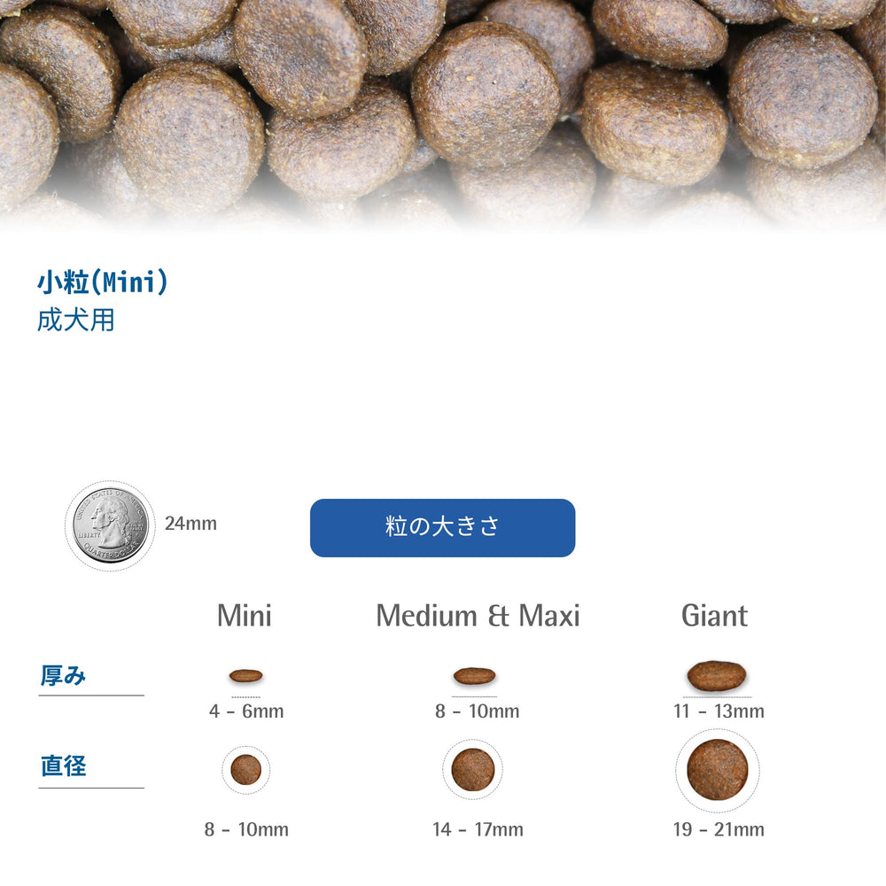 N&D Lamb Blueberry Adult Mini ingredients list with lamb and berries.
