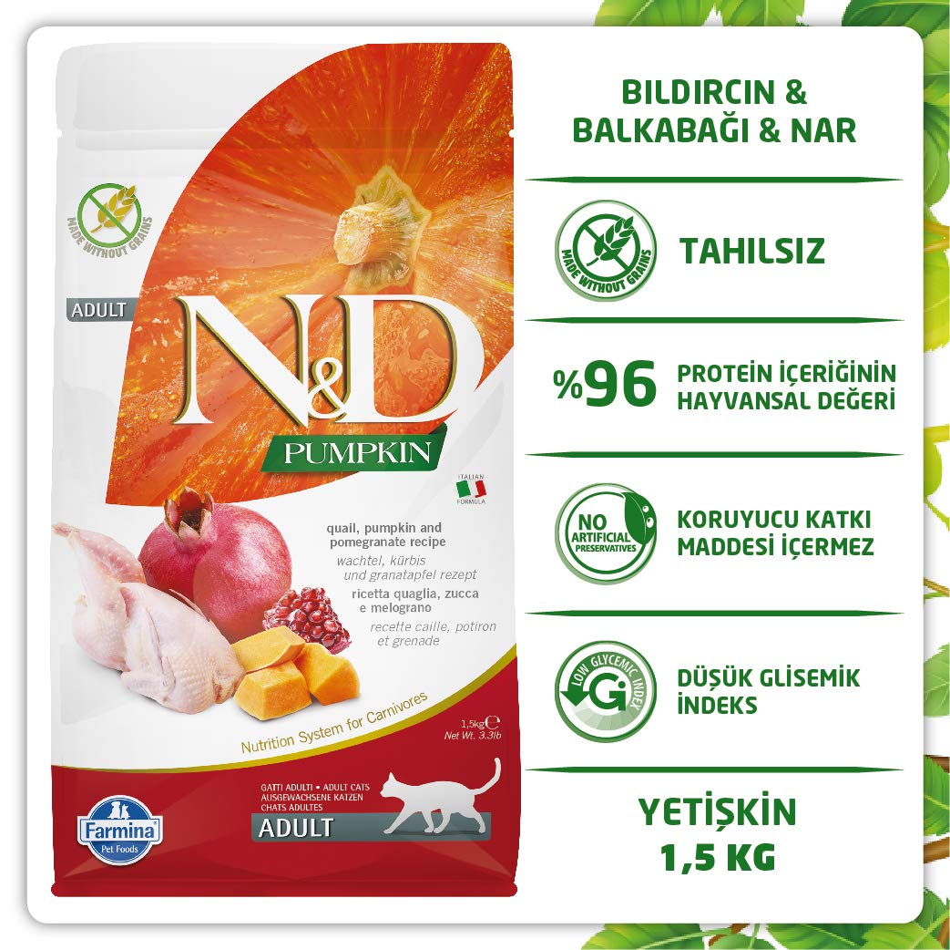 N&D ingredient closeup with quail and pumpkin emphasizes protein and fiber sources.