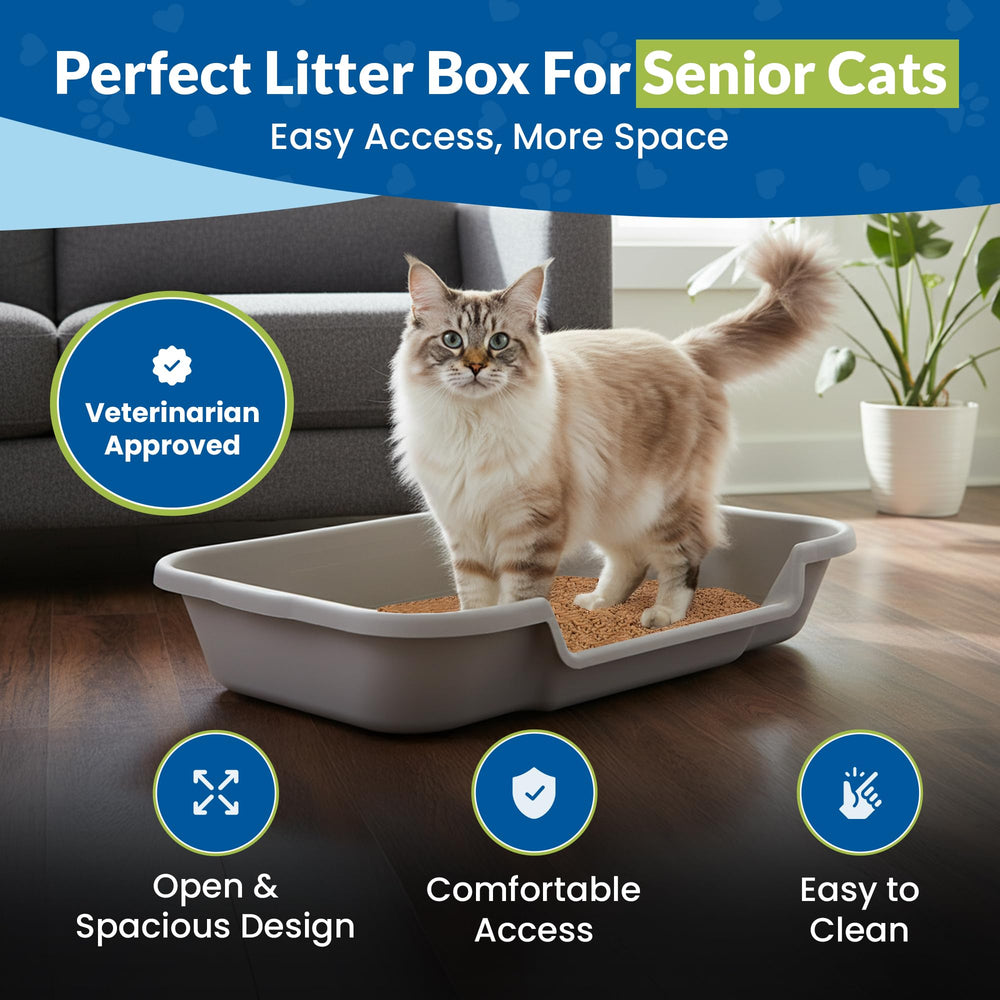 NE14pets KittyGoHere side entry showing easy access for arthritic cats.